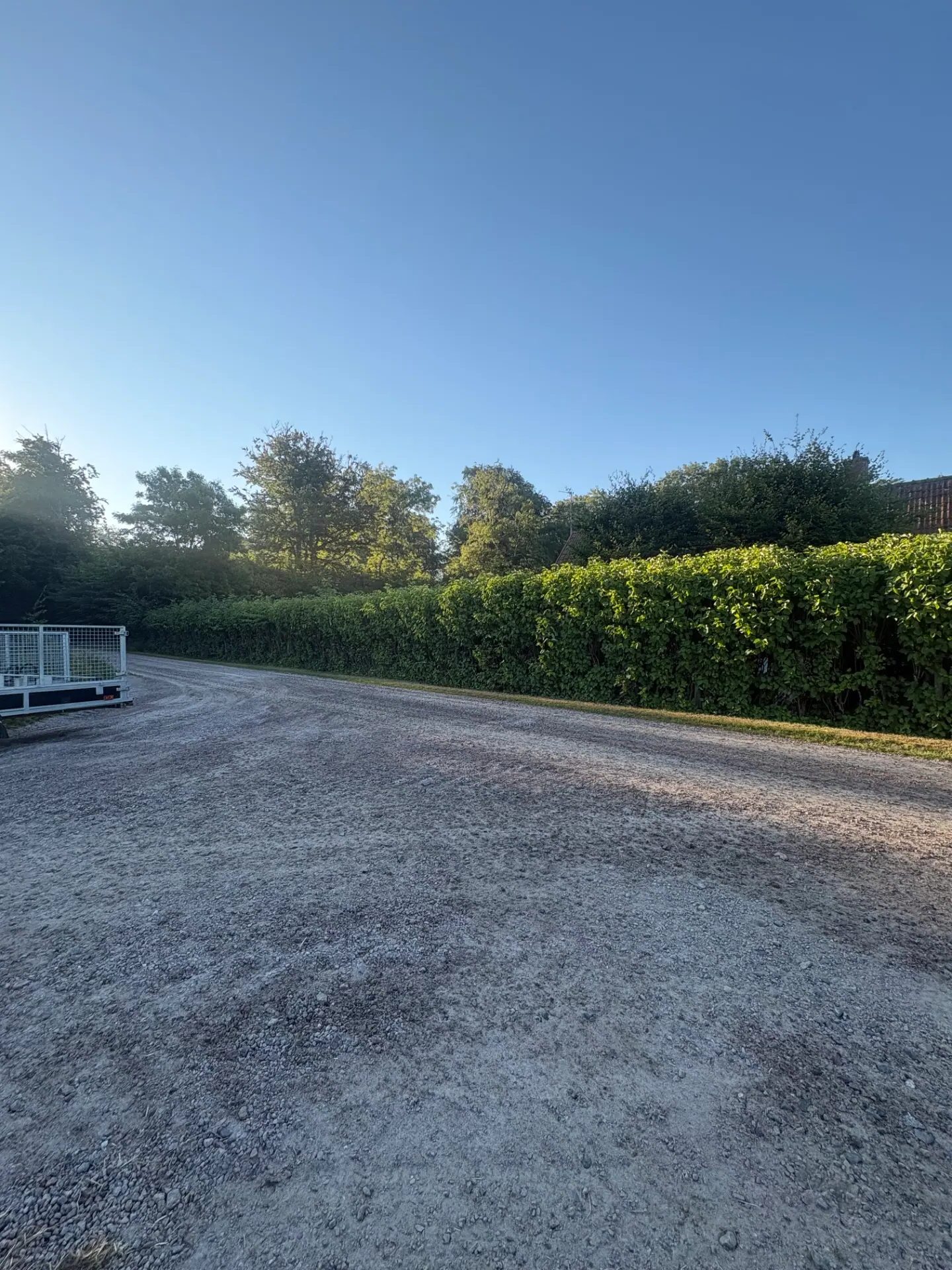 Nyklippt häck längs grusinfart i Sjöbo