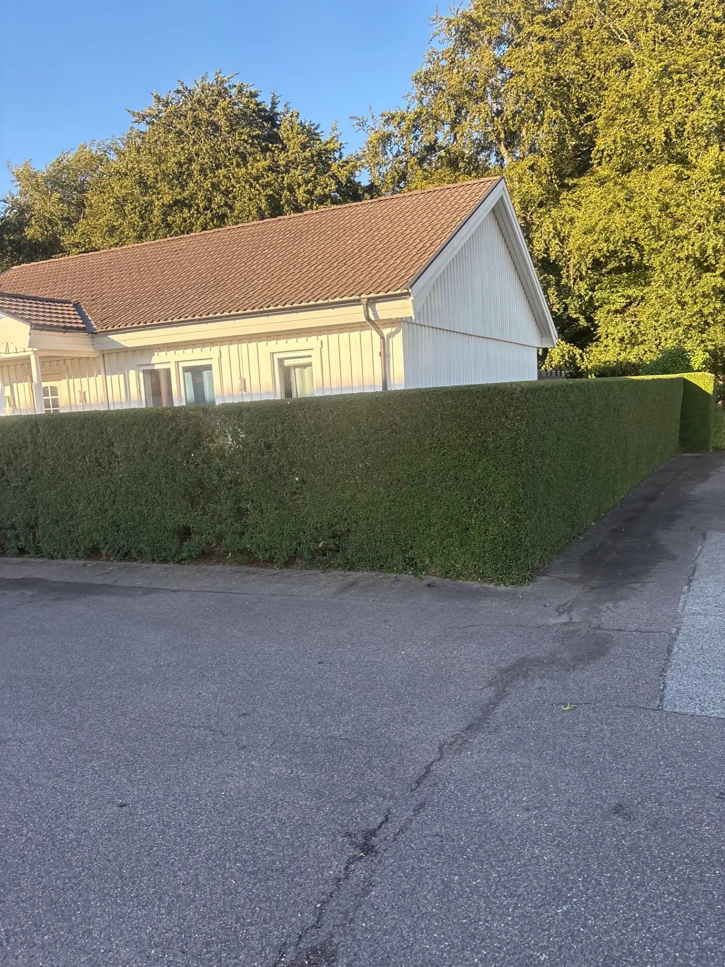 Välklippt villahäck framför ett hus i Sjöbo